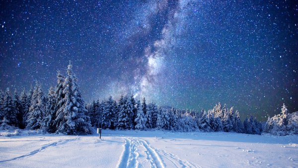 Beautiful-winter-trees-forest-snow-starry-stars 52880