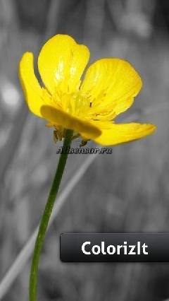 ColorizIt