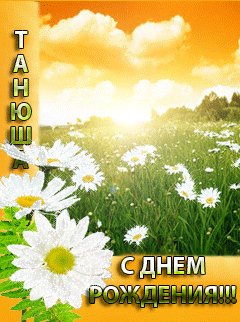 file_21017586