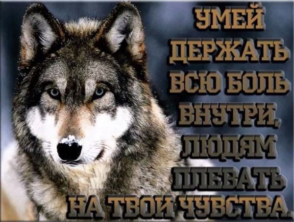 Правда жизни