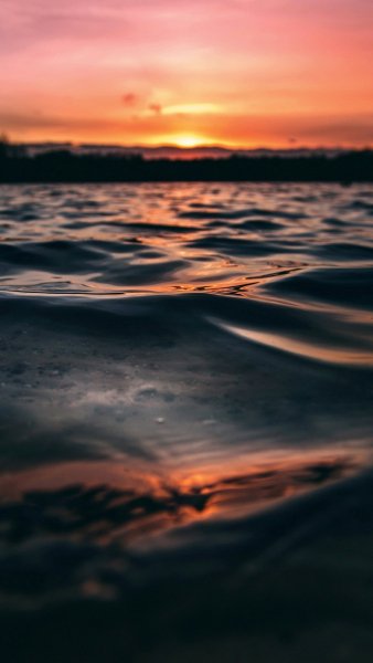file_99388940