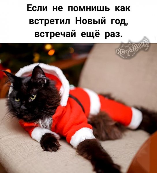 FB IMG 1767350858802