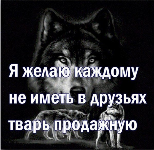 IMG 20251016 102003