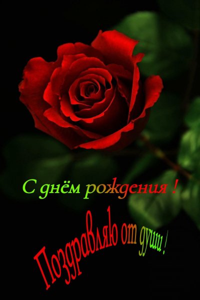 file_79620134