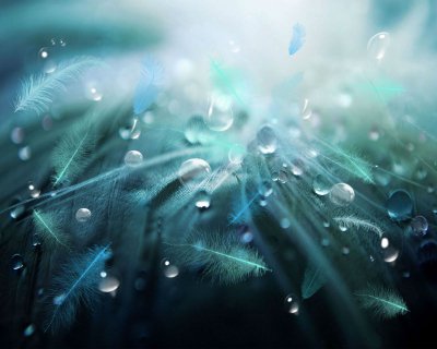 Feather 4
