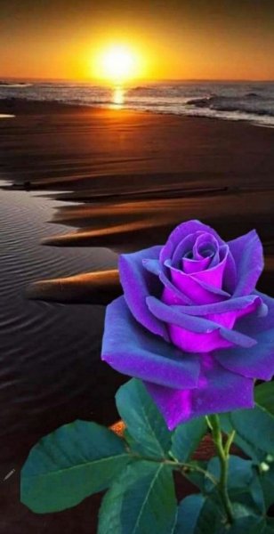 file_93999101
