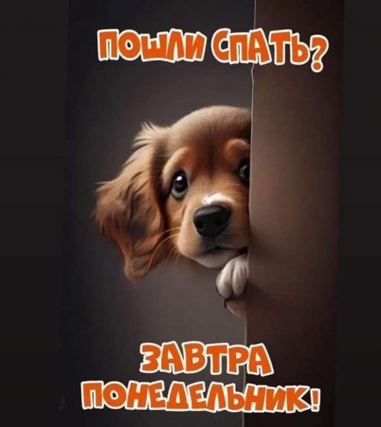 p.1200.1200.0