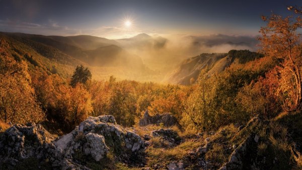 file_91958316