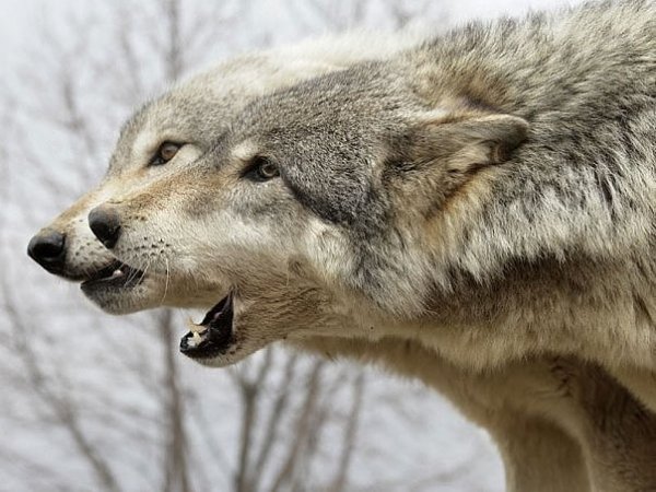 photo 1552168488
