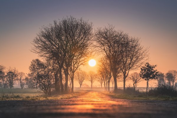 emsland-lower-saxony-germany-emsland-nizhniaia-saksoniia-ger