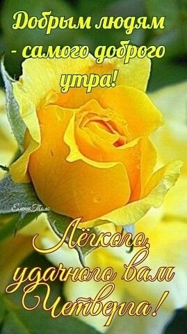 file_93982251