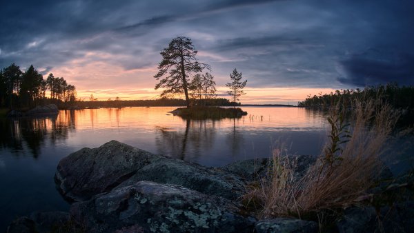file_91665107