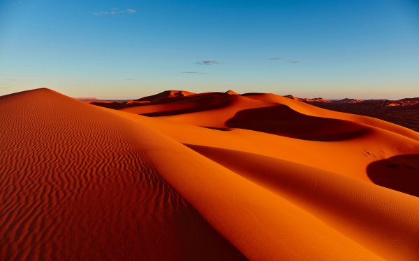 In the Desert 3