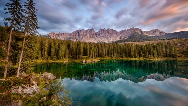 file_95007797