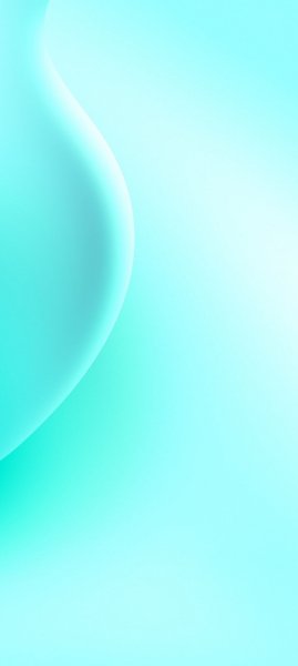adapted 1080x2408 1790323873