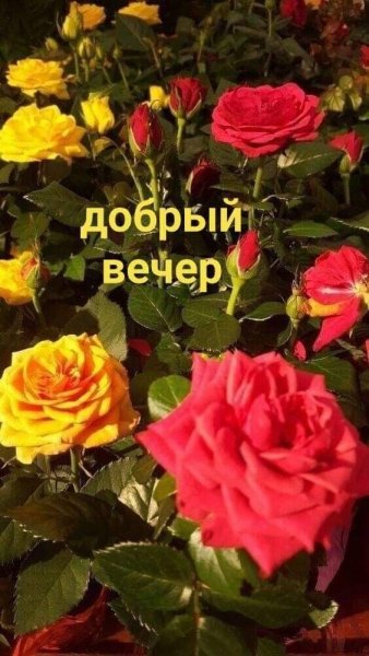 file_93928460