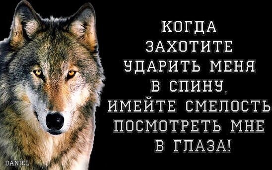 Удар в спину