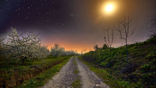 Гиссарская ночь, Таджикистан. Фотограф akmal