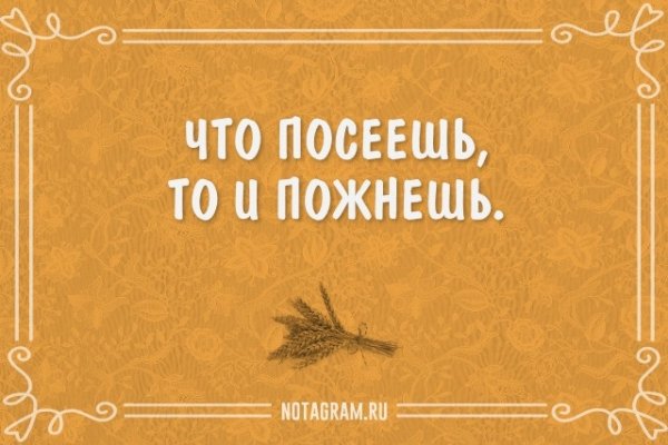 Что посеешь, то и пожнёшь