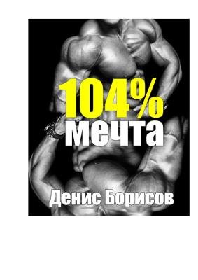 Программа МЕЧТА 104
