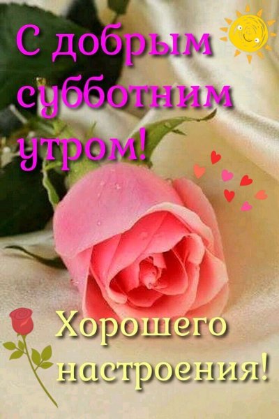file_93997723