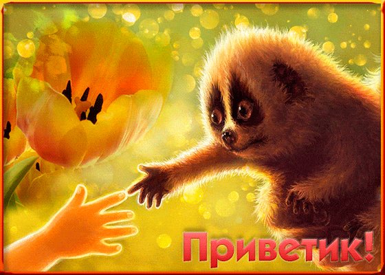 Летний приветик!