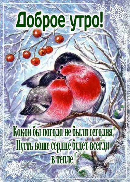file_92633108