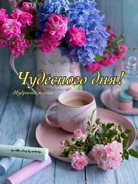 file_93787148