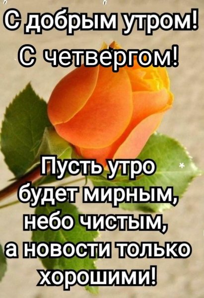 file_93923478