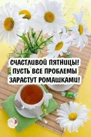file_93932194