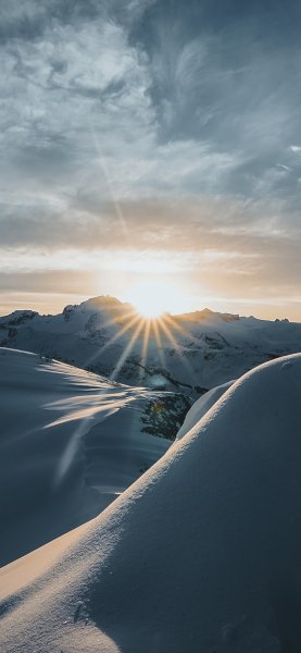 file_92398763
