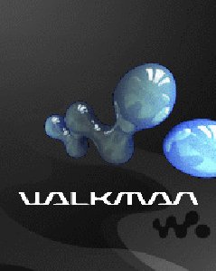 Walkman Black 176220