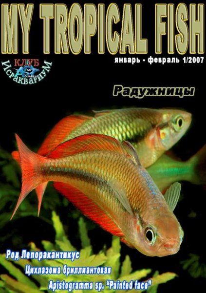 My Tropical Fish 01 2007
