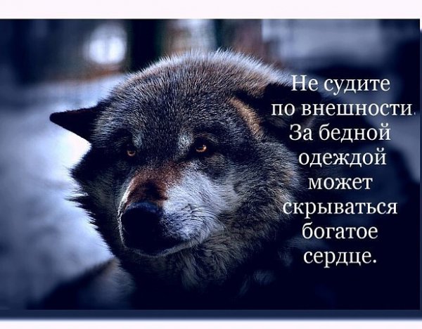 Люди не знают цену
