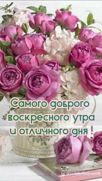 file_93891804