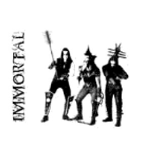 Immortalupdate