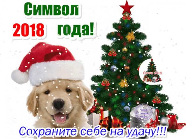 IMG 20171124 231003 0