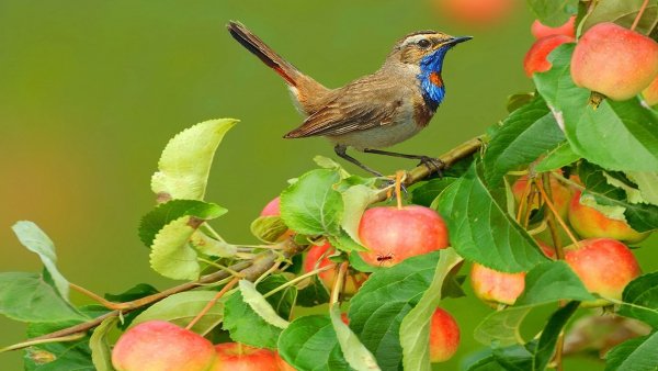 file_81566770