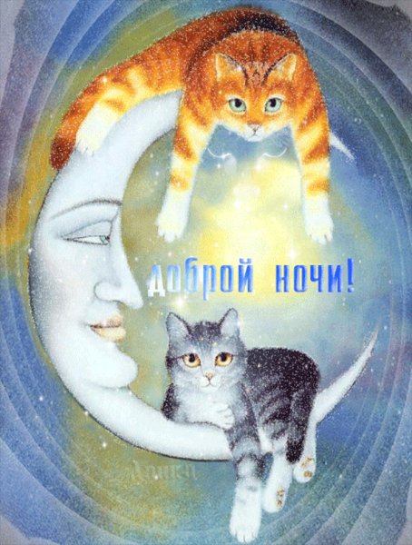 Доброй ночи!