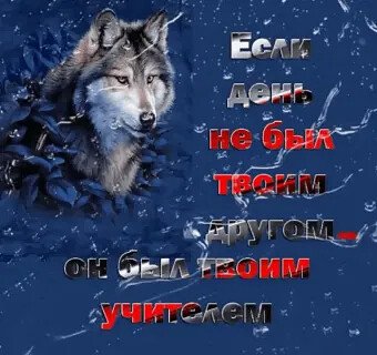 День учитель