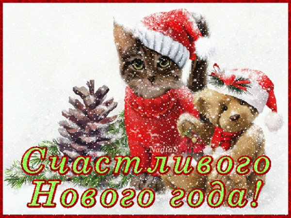 file_66089305