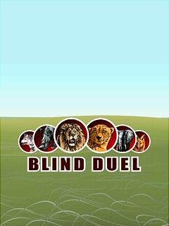 Blind Duel (Дуэль Вслепую)