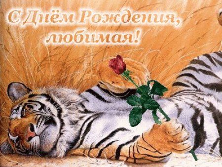 С днём рождения04