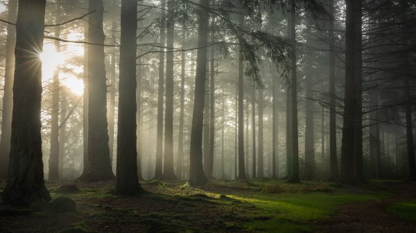 file_94755350
