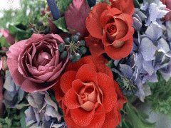 file_86355505