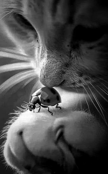 file_99729892