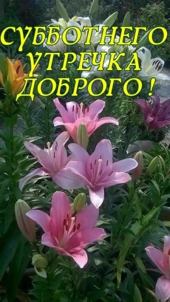 file_93942374