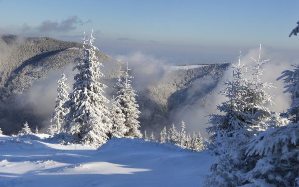 file_77383091