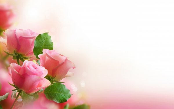 file_91746534