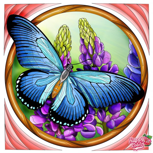 HappyColor 23964